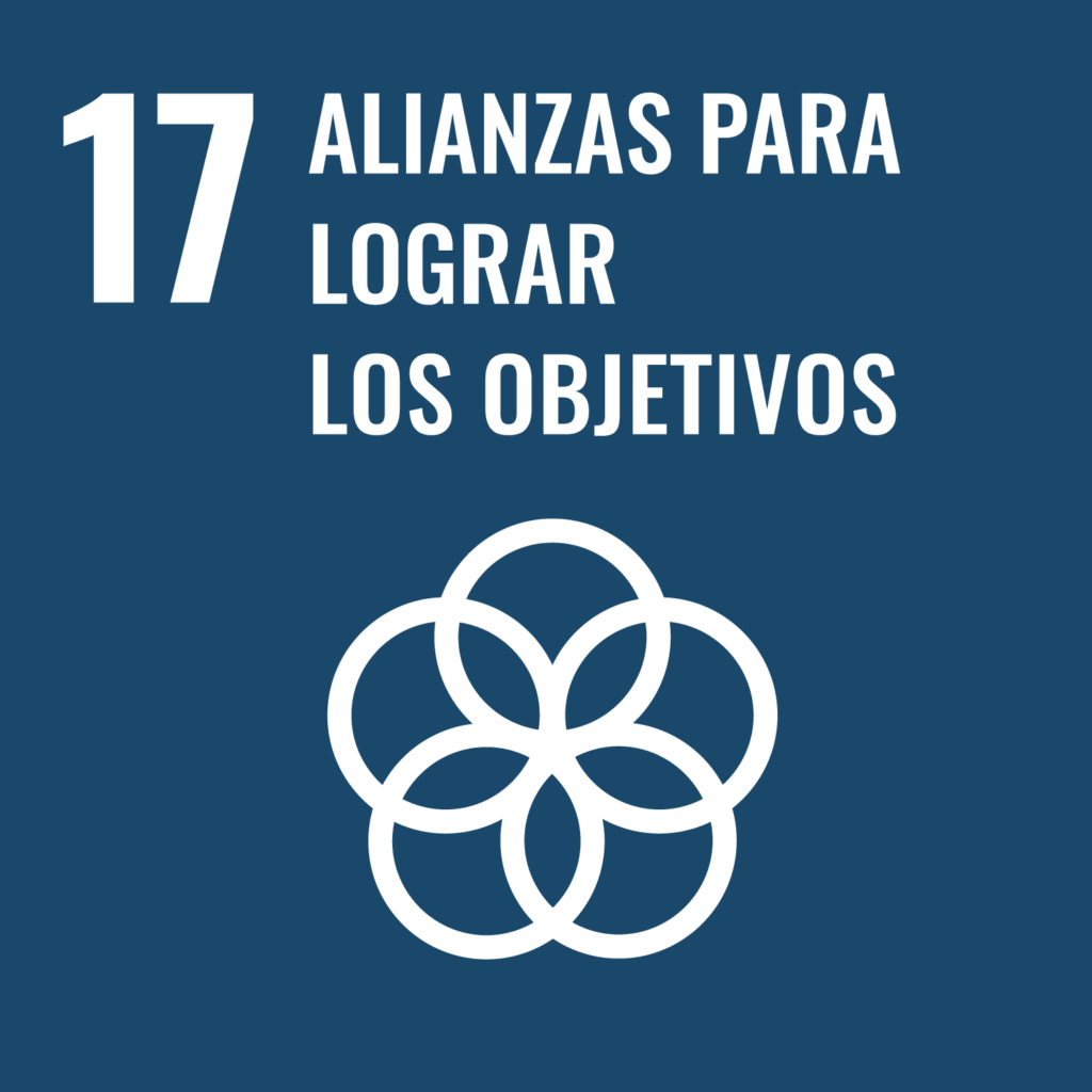 Logo Objetivo 17